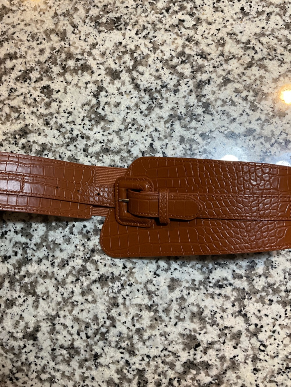 Commense Croc-Embossed Wide Waist Belt in Cognac Brown